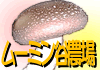 �ۏ����������̃��[�~���J�_��